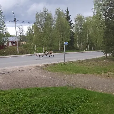 Ollinmaeki Muonio