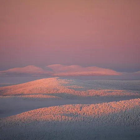 Cozy Ollinmaeki Muonio