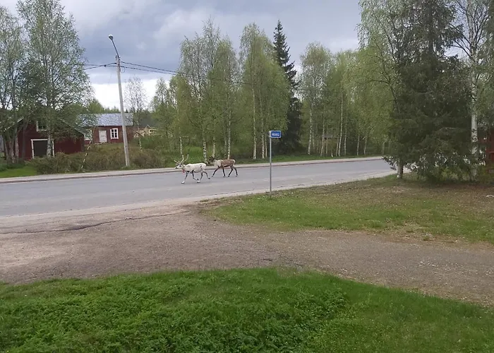 Northern Star Muonio